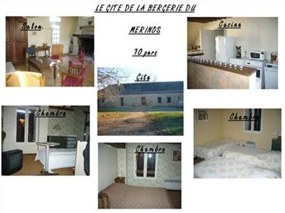 Photos